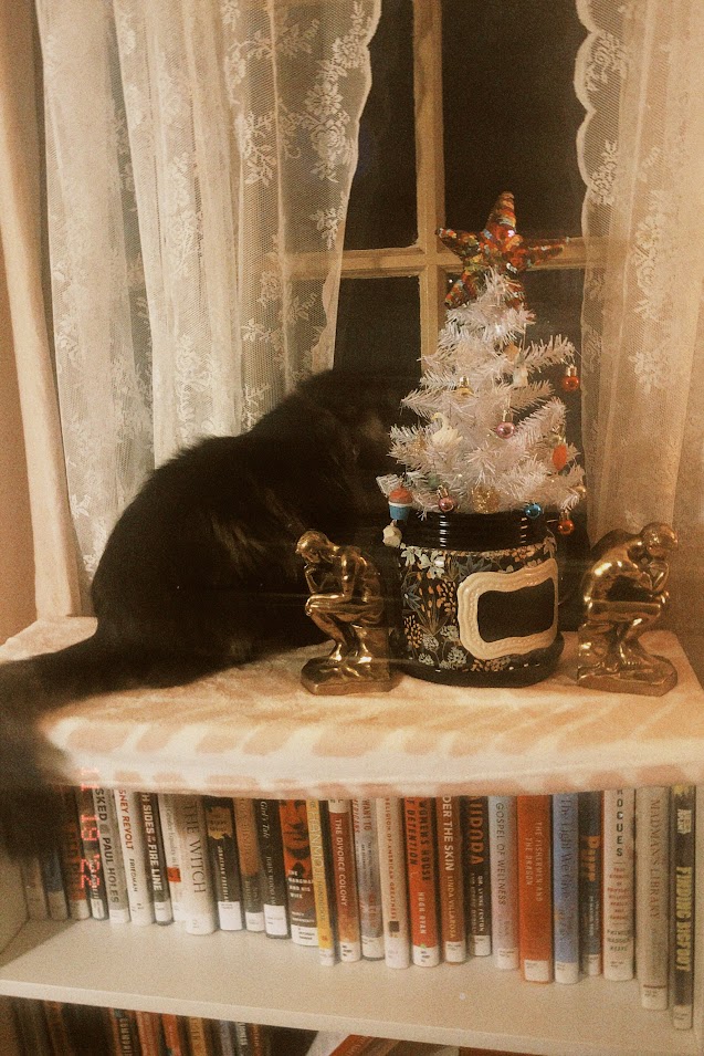 november 19, 2022: a long-haired tabby cat stands next to a small white artificial Christmas tree with a rainbow sequin star.